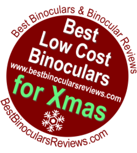 Levenhuk Karma PRO 8x32 Компактный, Влагостойкий, Карманный Бинокль с Призмой Руф