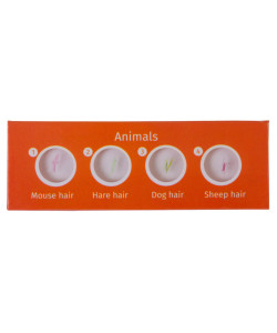 Levenhuk LabZZ CP24 Creatures & Plants Prepared Slides Set