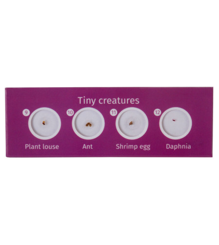 Levenhuk LabZZ CP24 Creatures & Plants Prepared Slides Set