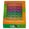 Levenhuk LabZZ CP24 Creatures & Plants Prepared Slides Set