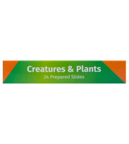 Levenhuk LabZZ CP24 Creatures & Plants Prepared Slides Set