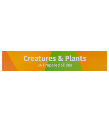 Levenhuk LabZZ CP24 Creatures & Plants Prepared Slides Set