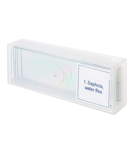 Discovery Prof Specimens DPS 5. &ldquo;Life in a Drop of Water&rdquo;