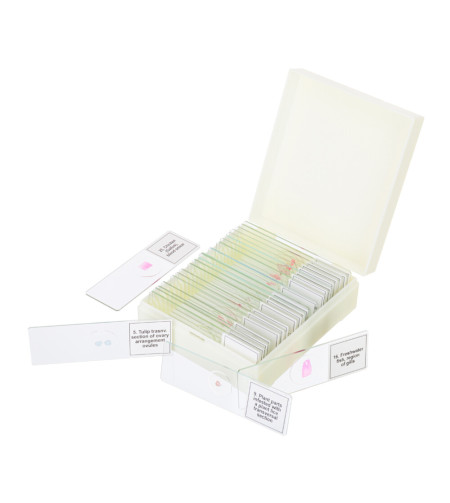 Discovery Prof Specimens DPS 25. &ldquo;Biology, Birds, etc.&rdquo;