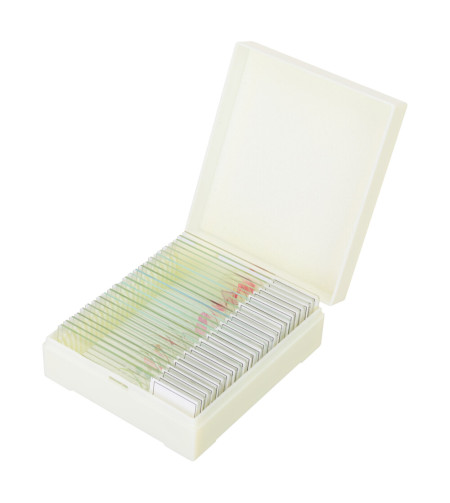 Discovery Prof Specimens DPS 25. &ldquo;Biology, Birds, etc.&rdquo;