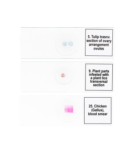 Discovery Prof Specimens DPS 25. &ldquo;Biology, Birds, etc.&rdquo;