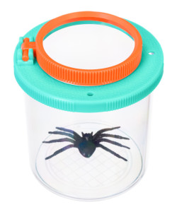 Discovery Basics CN5  Bug Jar