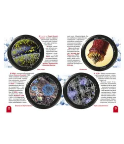 Микромир (RU)