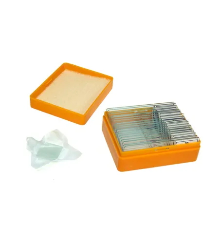 Levenhuk N20 NG Prepared Slides Set  Biology and Physiology