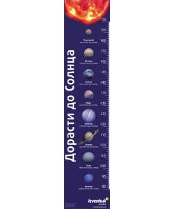 (EN) Levenhuk Grow Towards the Sun kasvutabel