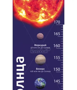 (EN) Levenhuk Grow Towards the Sun kasvutabel