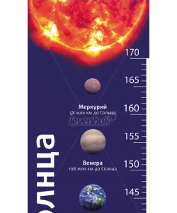 (EN) Levenhuk Grow Towards the Sun kasvutabel