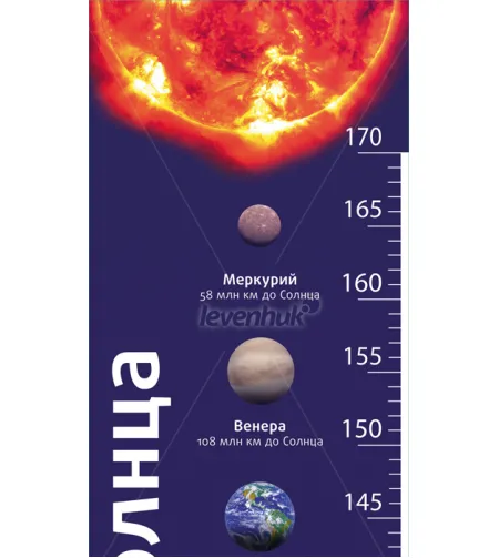 (EN) Levenhuk Grow Towards the Sun kasvutabel