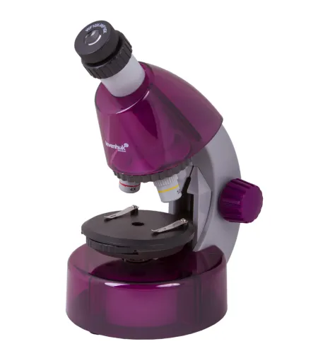 Microscope for children, Levenhuk LabZZ M101 Amethyst, 40x-640x, with Experiment kit