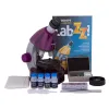 Microscope for children, Levenhuk LabZZ M101 Amethyst, 40x-640x, with Experiment kit