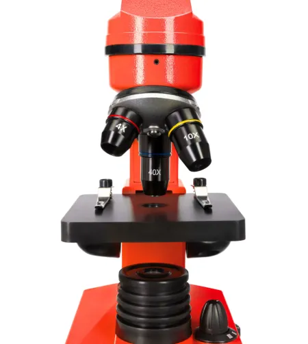 Mikroskoop Levenhuk Rainbow 2L Kuukivi 40x-400x koos katsekomplektiga K50