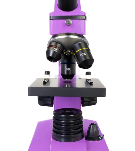 Mikroskoop Levenhuk Rainbow 2L PLUS Ametüst 64x - 640x koos eksperimendi komplektiga K50