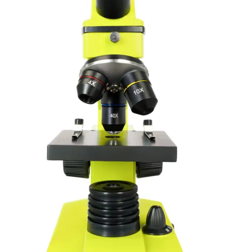 Mikroskoop Levenhuk Rainbow 2L PLUS 64x - 640x Laimiroheline koos eksperimendi komplektiga