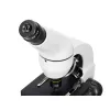 Levenhuk Rainbow D50L PLUS 2M Digital Microscope, Moonstone