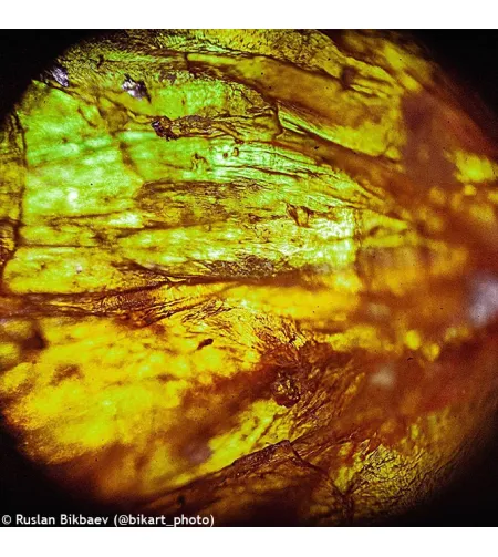 Levenhuk Rainbow D50L PLUS 2M Digital Microscope, Moonstone