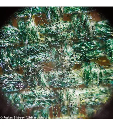 Levenhuk Rainbow D50L PLUS 2M Digital Microscope, Moonstone