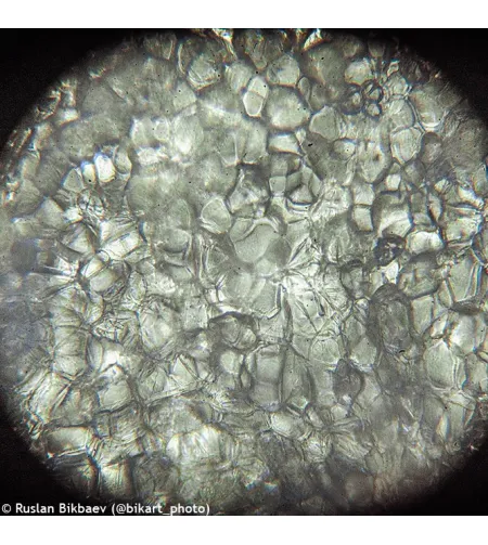 Levenhuk Rainbow D50L PLUS 2M Digital Microscope, Moonstone