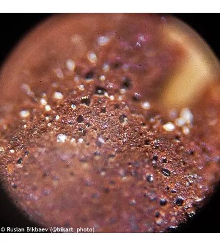 Levenhuk Rainbow D50L PLUS 2M Digital Microscope, Moonstone