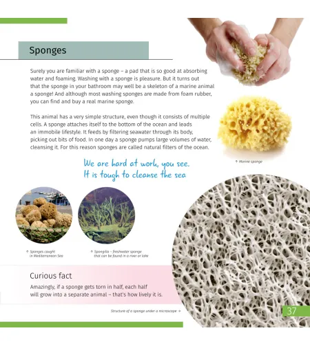 Invisible World. Knowledge book