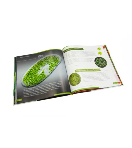 Invisible World. Knowledge book