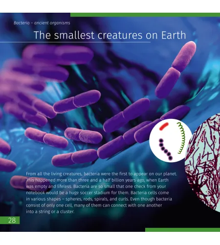 Space. Microworld. Knowledge book (two-volume edition)