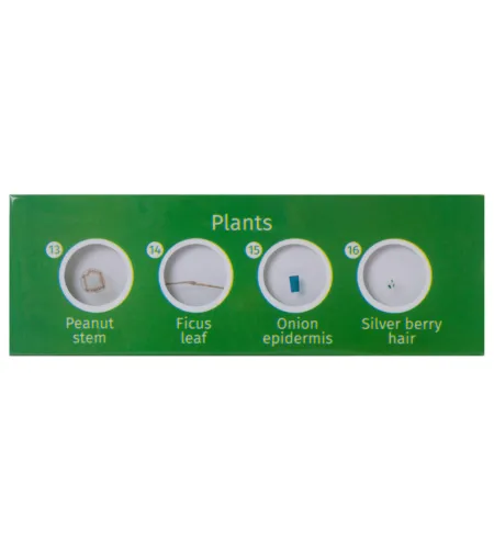 Levenhuk LabZZ P12 Plants Prepared Slides Set