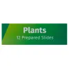 Levenhuk LabZZ P12 Plants Prepared Slides Set