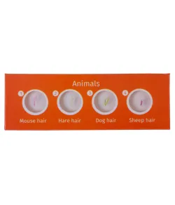 Levenhuk LabZZ CP24 Creatures & Plants Prepared Slides Set