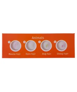 Levenhuk LabZZ CP24 Creatures & Plants Prepared Slides Set