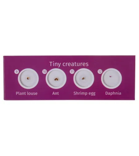 Levenhuk LabZZ CP24 Creatures & Plants Prepared Slides Set