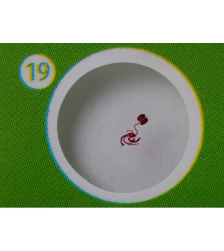 Levenhuk LabZZ CP24 Creatures & Plants Prepared Slides Set