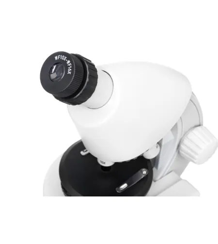 Microscope, Discovery Micro Polar, 40x-640x, with book