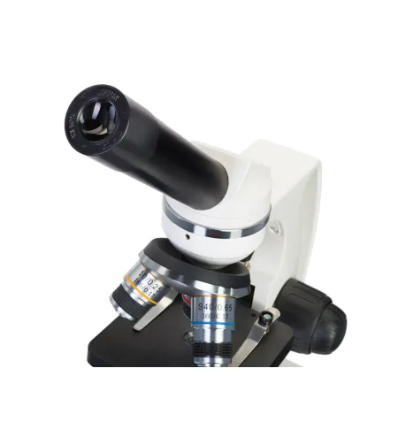 (RU) Microscope Discovery Femto Polar with book