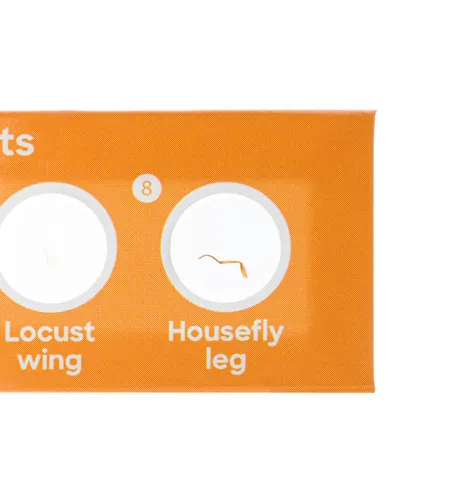 Discovery Fauna 12 Mikroskoobi slaidide valmistamine