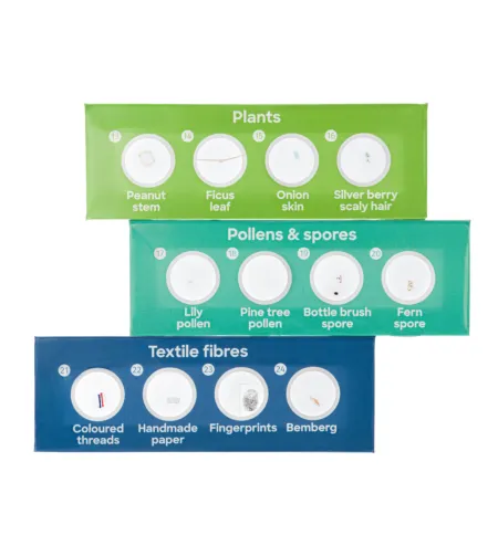 Discovery 12 Taimestiku mikropreparaatide komplekt