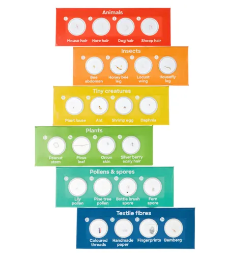 Discovery Flora & Fauna 24 Prepared Slides Set