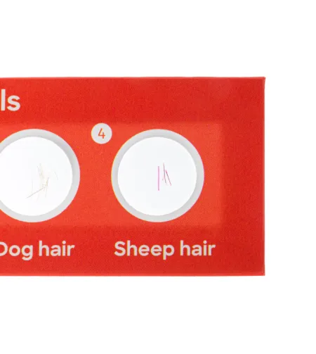 Discovery Flora & Fauna 24 Prepared Slides Set