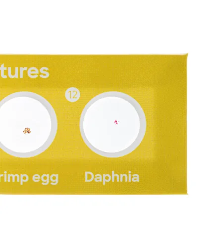 Discovery Flora & Fauna 24 Prepared Slides Set