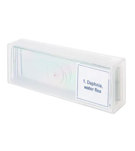 Mikropreparaatide komplekt Discovery Prof DPS 5. "Elu veetilgas"