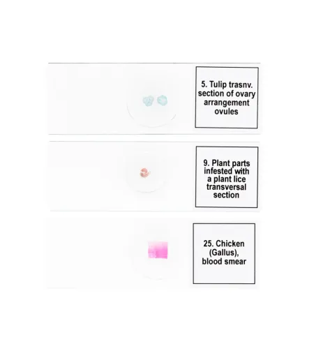 Mikropreparaatide komplekt Discovery Prof DPS 25. "Bioloogia, linnud jne."