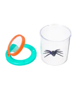 Discovery Basics CN5  Bug Jar