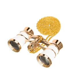 Театральный бинокль Levenhuk Broadway 325B