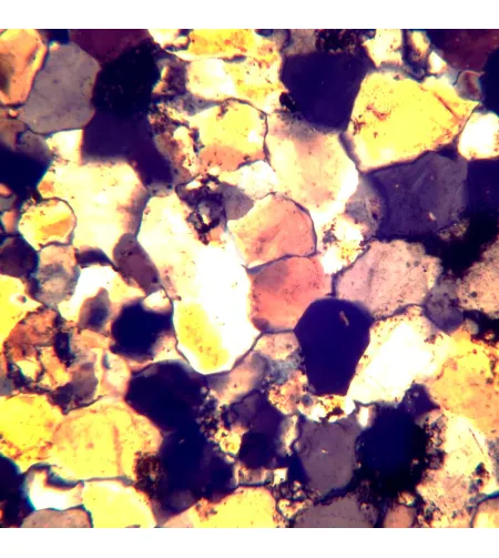 MAGUS Pol 800 Polarizing Microscope