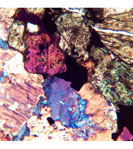 MAGUS Pol 850 Polarizing Microscope