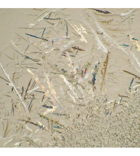 MAGUS Bio D230T LCD Biological Digital Microscope